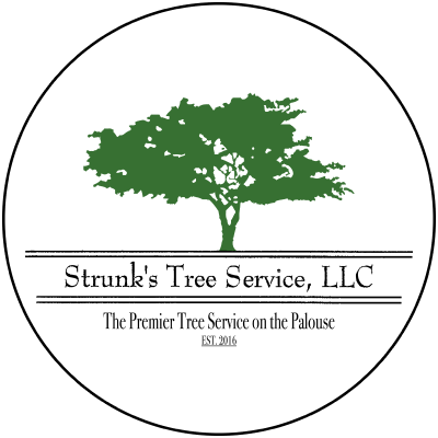 Strunk's Tree Service LLC Strunks Tree Service LLC Logo