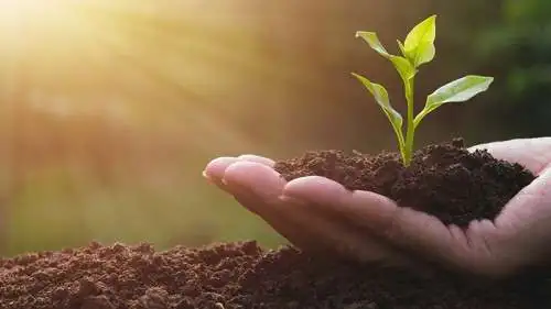 Summer Gardening Series at Genesee Community Library Summer Gardening Series at Genesee Community Library