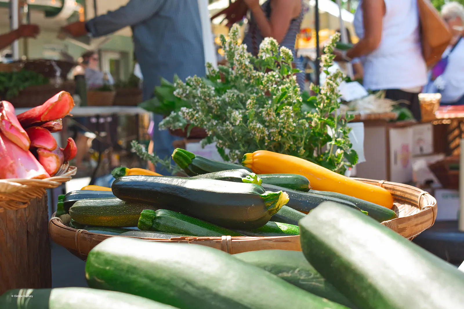 Moscow Farmers Market Close up of fresh veggies in baskets at the Moscow farmers market