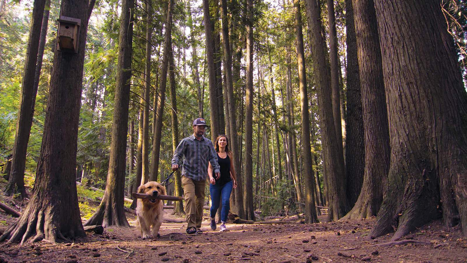 Local Parks Local Parks in Moscow Idaho